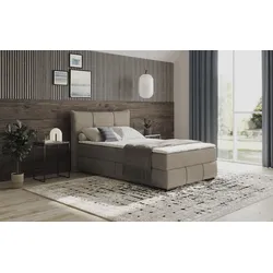 Boxbett INOSIGN "Brewdley mit Bettkasten, inkl. Matratze", grau (dolce 4 taupe), B:145cm L:215cm, Komplettbetten, Topper und Zierkissen, in verschiedenen Härtegraden verfügbar