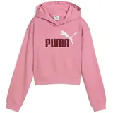 Puma Essentials 2 Color No. 1 Logo Short Length Hoodie Tr G Sweatshirt (1 Stück)