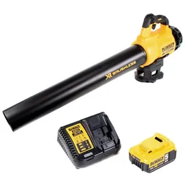 DeWalt DCM562P1