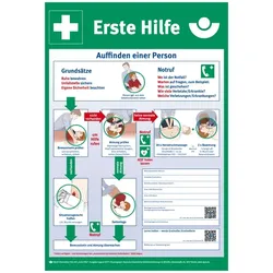 Aushang, Erste Hilfe gem. DGUV Information 204-001, 595 x 410 mm - 410x595x1.5 mm Kunststoff