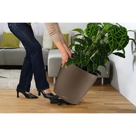 LECHUZA Rolluntersetzer Classico 43 Schwarz Ø 26 cm