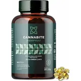 Hanfsamenöl Kapseln – 365 Kapseln mit 1000 mg Omega 3-6-9 – Kaltgepresst aus Hanfsamen – Aus kontrolliertem Anbau – Ohne Zusatzstoffe