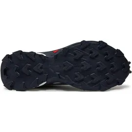 Salomon Supercross 4 GTX Herren Grisaille/White/Carbon 46 2/3