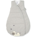 Sterntaler Schlafsack für Kleinkinder, Ganzjährig, Funktionsschlafsack Stanley, Grau