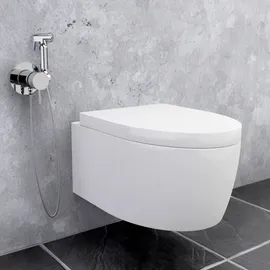 Stilform Design WC/Bidet Handbrause Komplettset mit Unterputz Mischerarmatur Mini Grau
