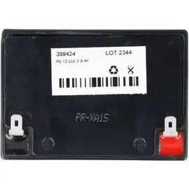 PBQ Blei Akku 2,9-12 2900 mAh 1 St.