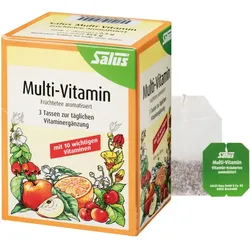 Salus Multi-Vitamin Früchtetee 15 St Filterbeutel