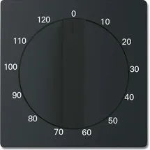 Busch-Jaeger Zentralscheibe sw/matt 1771-885-103