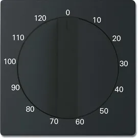 Busch-Jaeger Zentralscheibe sw/matt 1771-885-103