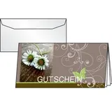 Sigel Gutschein-Karten »Favourite« mit Umschlag, DC402 braun, 22x11 cm