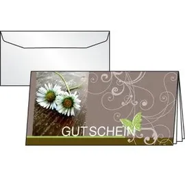 Sigel Gutschein-Karten »Favourite« mit Umschlag, DC402 braun, 22x11 cm