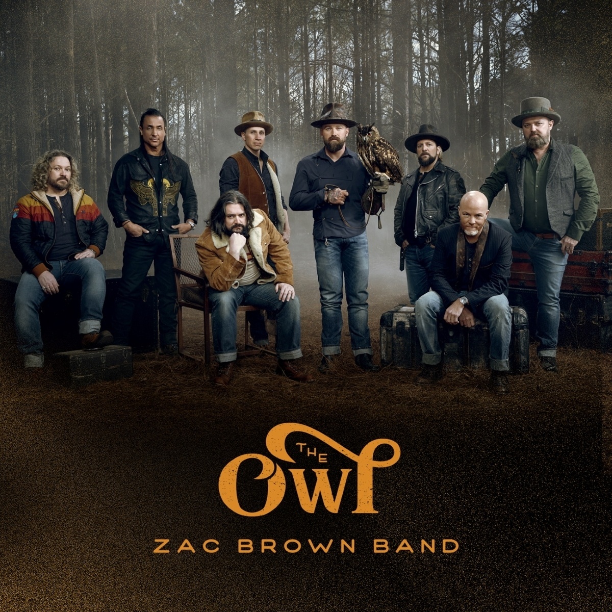 The Owl - Zac Brown Band. (CD)