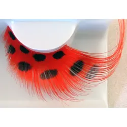 Geschwungene Marienkäfer Wimpern - OS