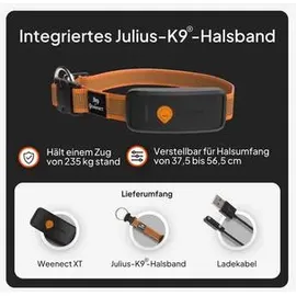 Weenect XT GPS Tracker für Hunde 6 kg Orange