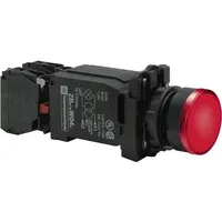 Schneider Electric XB5AW3445 XB5AW3445 Leuchtdrucktaster 600V 6A tastend (L x B x H) 101 x 30 x 42mm IP66, IP67, IP69, IP69K 1St.