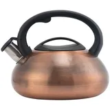 3L Flötenkessel Induktion, Retro Pfeifkessel Gasherd Wasserkessel Edelstahl Teekessel mit Griff Pfeifkessel Induktion Pfeifender Wasserkocher für Tee Kaffee, Whistling Kettle für alle Kochplatten