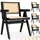 Tectake Armlehnstuhl Lissy Holz schwarz 4er Set