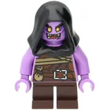 LEGO Ninjago: Ginkle