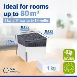 Wenko Raumentfeuchter Cube