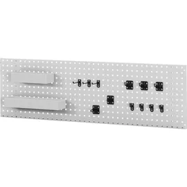 Rau Lochplatte für Wandmontage mit Ablagekasten und Hakenset BxTxH 2000x15x450mm