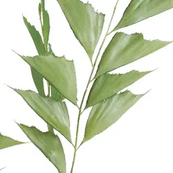 CREATIV green künstliche Pflanze Caryota mitis Palme, 150cm, schwer entflammbar
