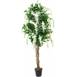 Europalms Goldregenbaum, weiß, 180cm