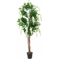 Europalms Goldregenbaum, weiß, 180cm