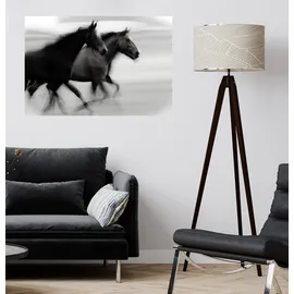 Queence Wandsticker QUEENCE "Horses", schwarz, B:90cm H:60cm T:0,1cm, Folie, Wandtattoos, Selbstklebend, kinderleichte Anbringung