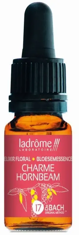 Ladrôme Charme Nr. 17