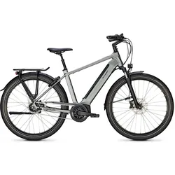 Raleigh Bristol XXL Grau Modell Aktion