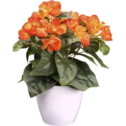 Kunstblume CREATIV GREEN "Begonie", orange, H:28cm, Kunststoff, Kunstpflanzen, mit farbenfrohen Blüten