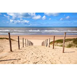 Fototapete PAPERMOON "Weg zum Sandstrand", bunt (mehrfarbig), B:3m L:2,23m, Vlies, Tapeten