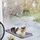 InnovaGoods Hängematte für Katzen One Size Grau