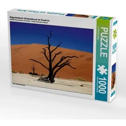 Abgestorbener Akazienbaum im Deadvlei (Puzzle)