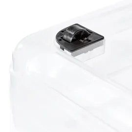 KEEEPER Aufbewahrungsbox Konrad 79,5 x 39,5 x 18 cm 2-tlg. transparent