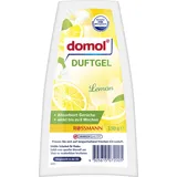 domol Raumduft Lemon Citrus 150,0 g, 1 St.