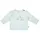 Sterntaler Langarmshirt Rexi in helltürkis | Gr.: 74