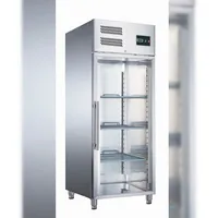 Saro Tiefkühlschrank mit Glastür, Modell EGN 650 BTG