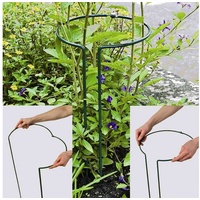 Siena Garden Pflanzenstütze vollrund 55cm verstellbar,