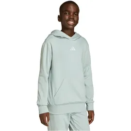 adidas Hoodie Grey 152