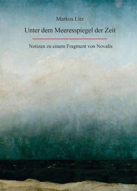 Unter Dem Meeresspiegel Der Zeit - Markus Litz  Kartoniert (TB)
