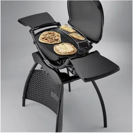 WEBER Q 2200 mit Stand schwarz
