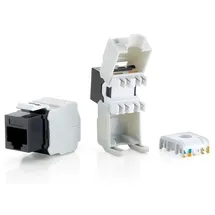 Equip Professional - modulare Eingabe - RJ-45 (Packung mit 8)