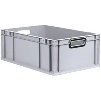 Proregal Eurobox NextGen Color, HxBxT 22x40x60cm, 44 Liter, Griffe