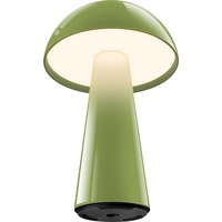 Century Century, Tischlampe, LED Tischlampe COCO grün 1,5W 2700K