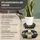 ttl home VERSO Pflanzenroller Ø 38-50 cm schwarz
