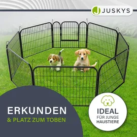 Juskys Welpenauslauf 8-teilig Metall Schwarz 160 cm x 160 cm x 60 cm