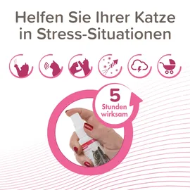 beaphar CatComfort Wohlfühl-Spray 60 ml