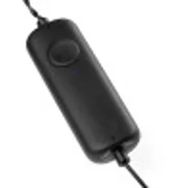 Twinkly Strings Gold Edition LED Lichterkette 250x (TWS-250GOP-BEU)