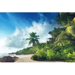 Fototapete PAPERMOON "PALMEN-STRAND-SEYCHELLEN TROPISCH INSEL AFRIKA KÜSTE", bunt, B:4,00m L:2,60m, Vlies, Tapeten